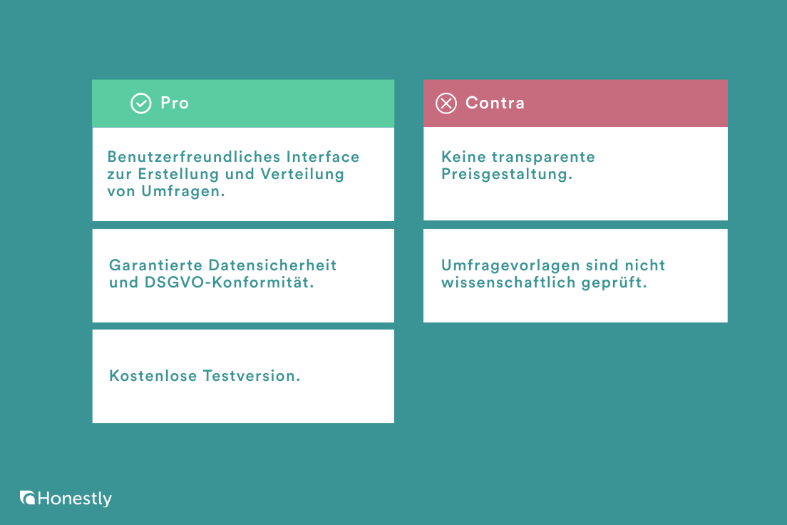 netigate pro und contra